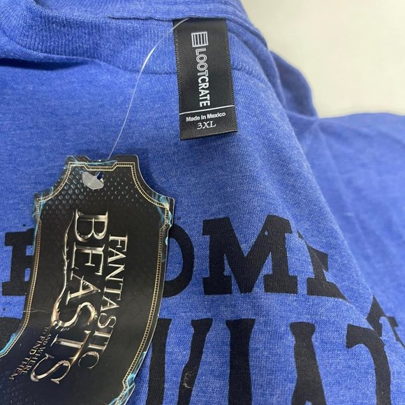 LOOT CRATE-- NOV. 2016.. Dr. Strange Toy, T-shirt--3 X-L, and MORE.... COLLECTOR - Picture 9 of 11